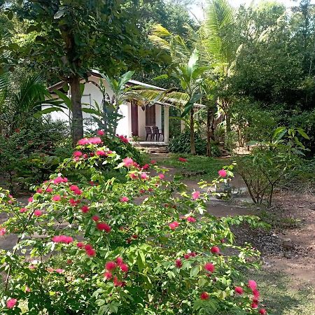 Sanjana Home Stay ฮาบารานา ภายนอก รูปภาพ