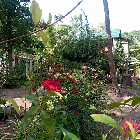 Sanjana Home Stay ฮาบารานา ภายนอก รูปภาพ