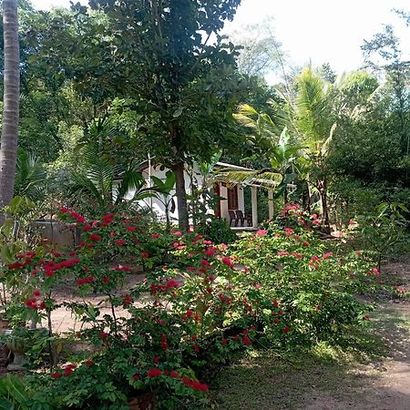 Sanjana Home Stay ฮาบารานา ภายนอก รูปภาพ