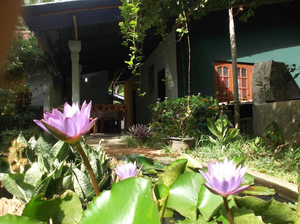 Sanjana Home Stay ฮาบารานา ภายนอก รูปภาพ