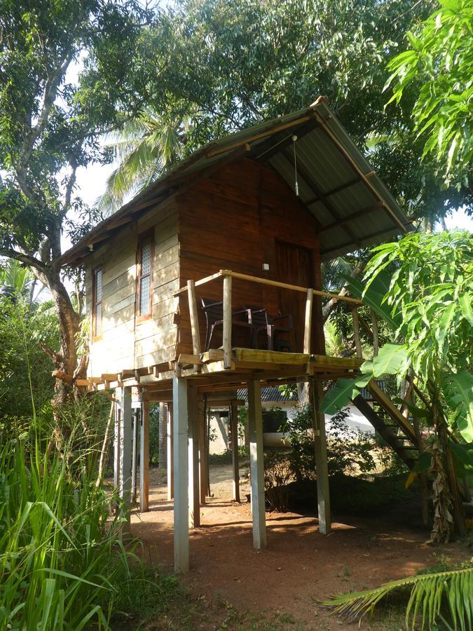 Sanjana Home Stay ฮาบารานา ภายนอก รูปภาพ