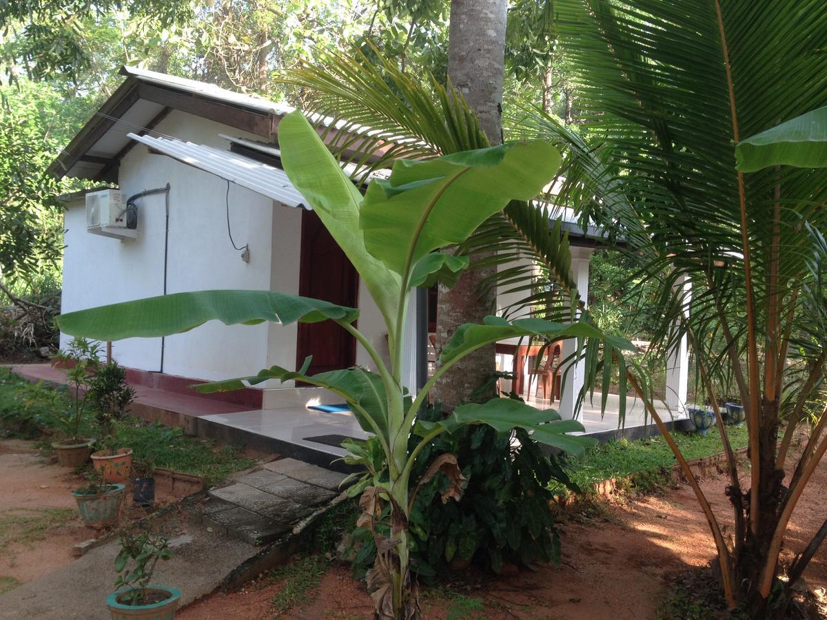 Sanjana Home Stay ฮาบารานา ภายนอก รูปภาพ