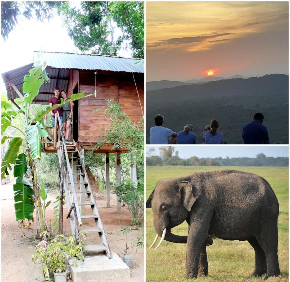 Sanjana Home Stay ฮาบารานา ภายนอก รูปภาพ