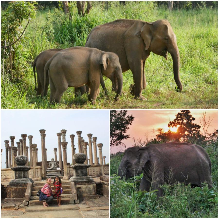 Sanjana Home Stay ฮาบารานา ภายนอก รูปภาพ